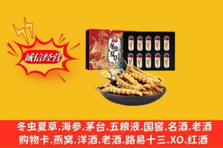 毕节市威宁回收冬虫夏草