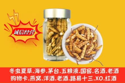 毕节市威宁回收散虫草